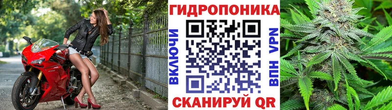 hydra онион  Петров Вал  мориарти состав  Марихуана AK-47 